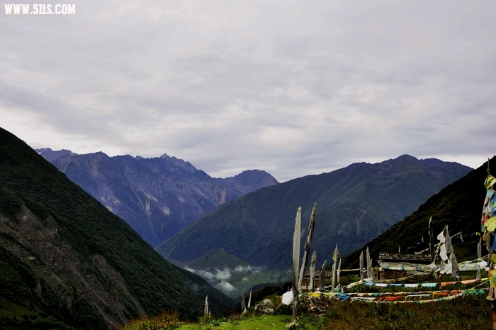 DSC_0121-1.jpg