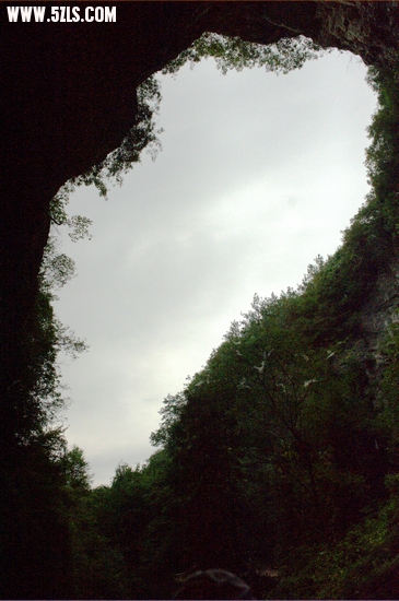 DSC_8775.jpg