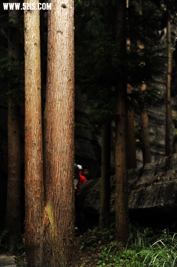 DSC_9072.jpg