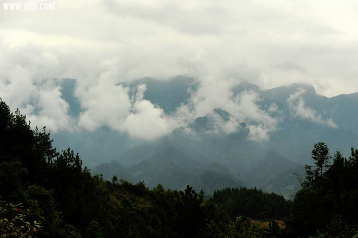 DSC_9108.jpg
