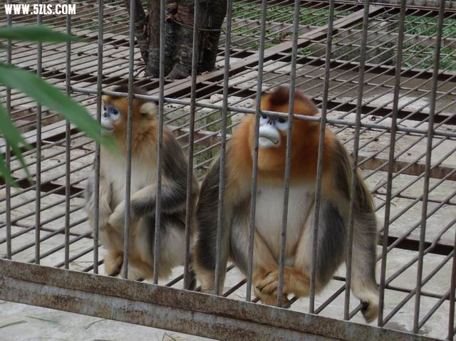 С DSCF0056.JPG