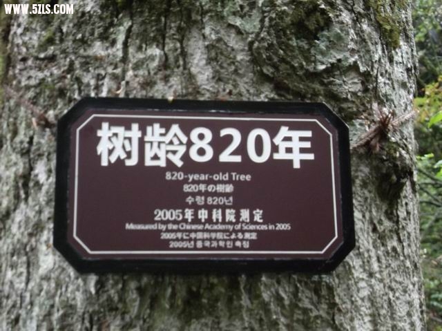 С DSCF0074.JPG