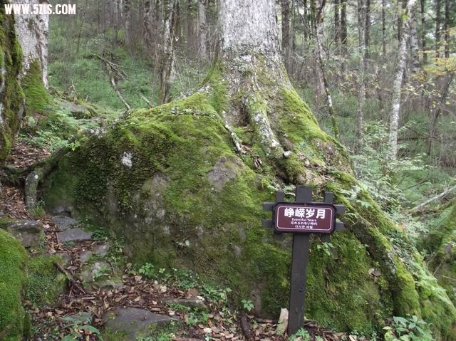 С DSCF0075.JPG