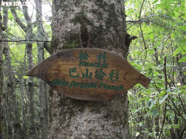 С DSCF0065.JPG