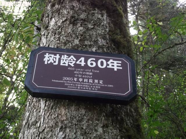 С DSCF0073.JPG