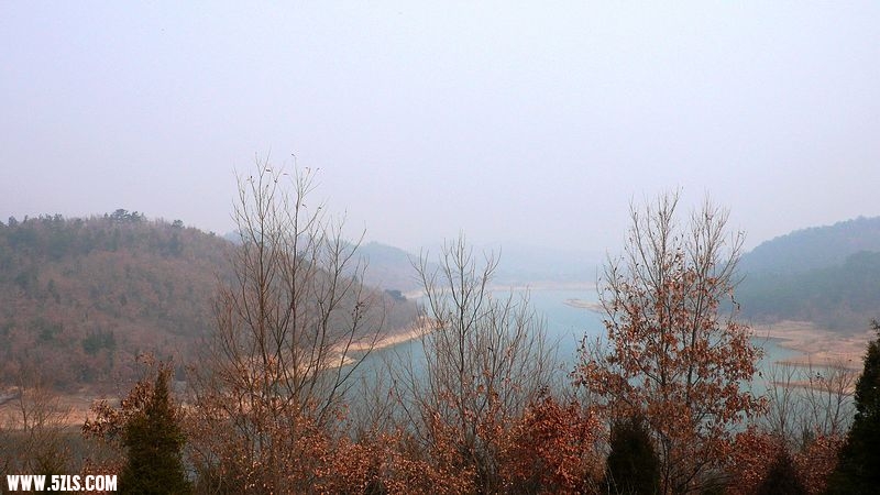 P1100673.jpg