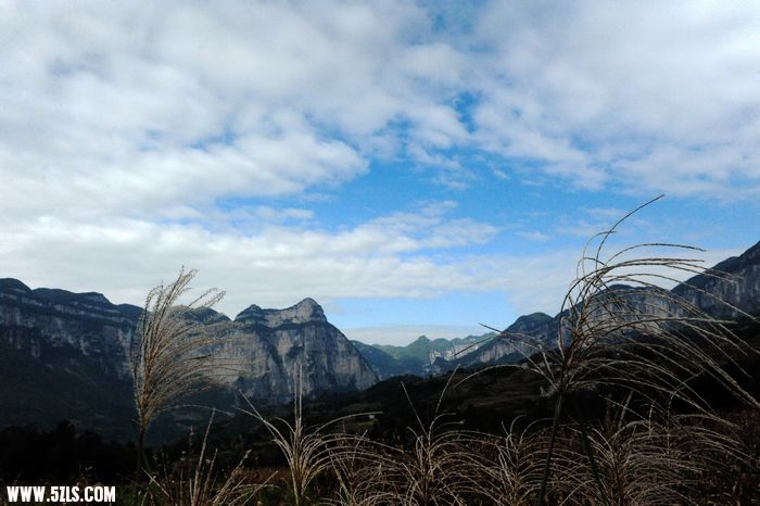 DSC_8827.jpg