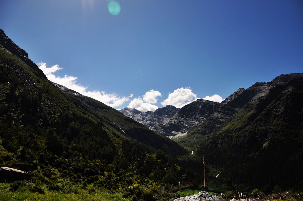 DSC_0250.JPG