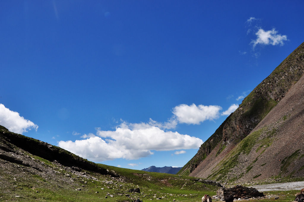 DSC_0271.JPG