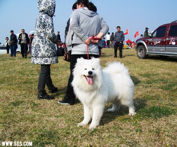 100_9004.jpg