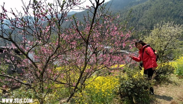 桃花