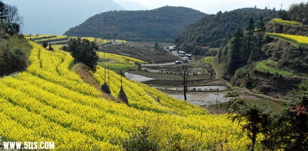 田沅
