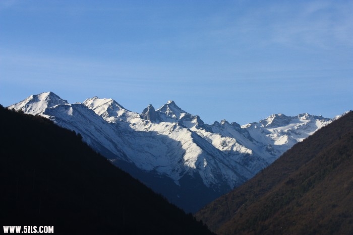 IMG_9009.jpg
