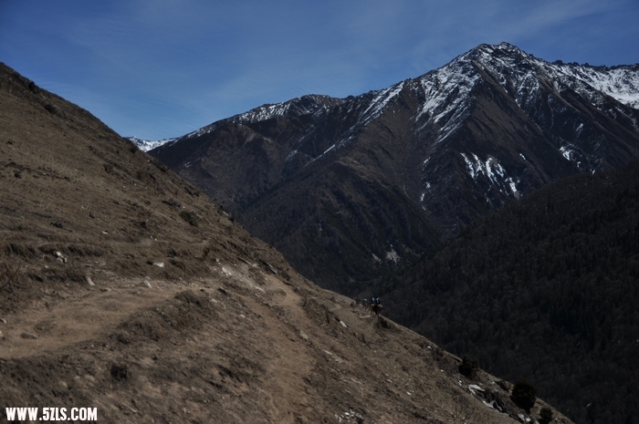 DSC_0382-1.jpg