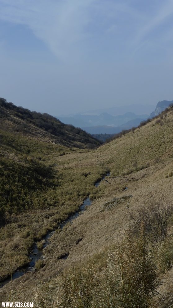 L1030424.jpg