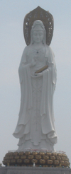 DSC01973.jpg