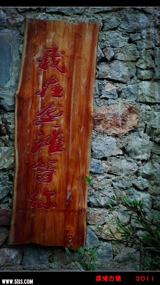 P1130035_.jpg