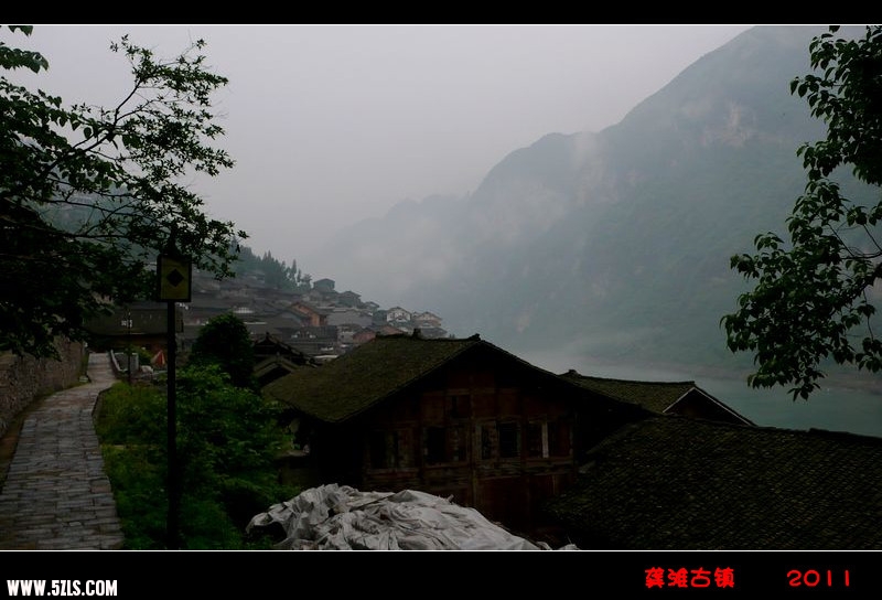 P1130020_.jpg