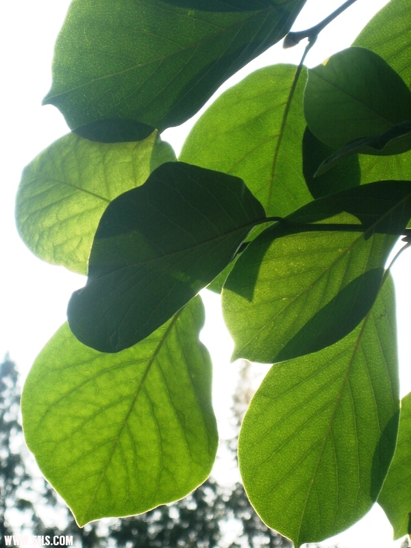 20011 040.jpg