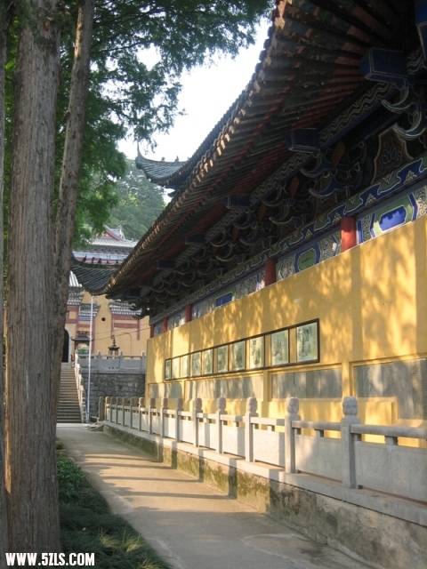 20011 043.jpg