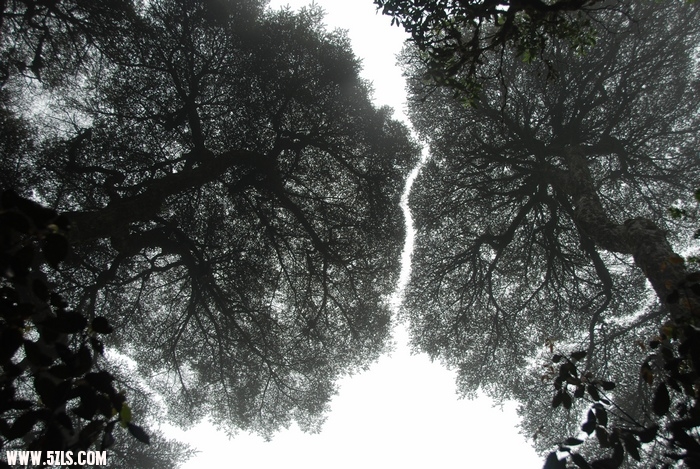 1106051604.jpg
