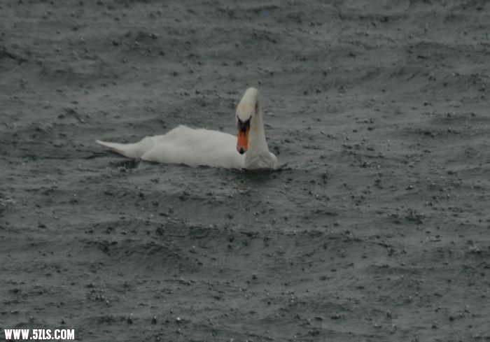 DSC_0493.jpg