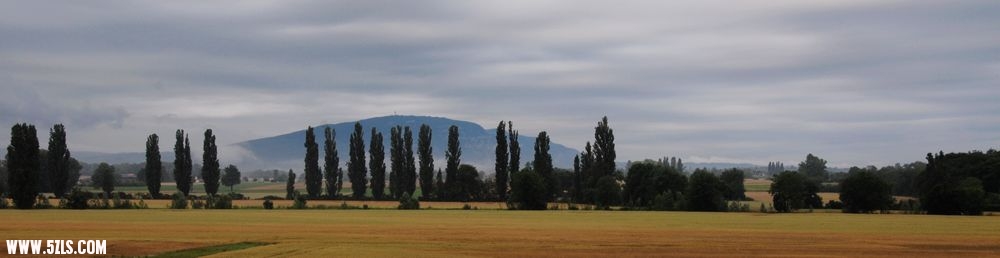 DSC_0550.jpg