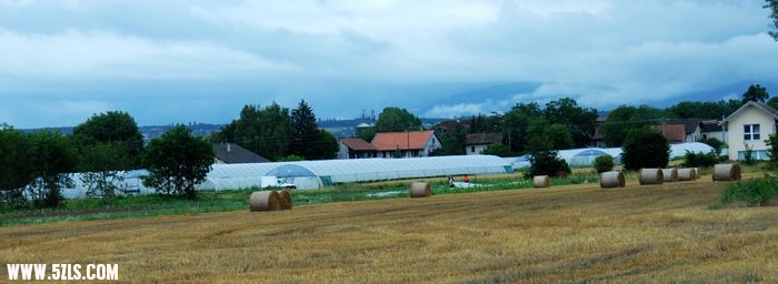 DSC_0612.jpg