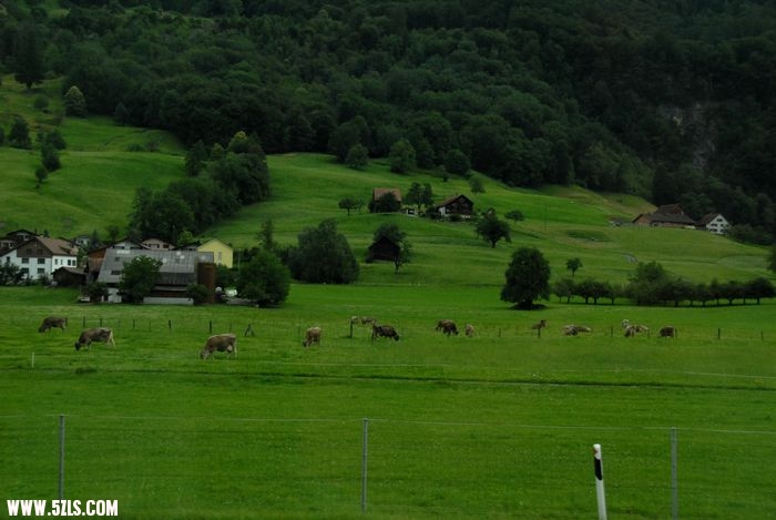 DSC_0038.jpg