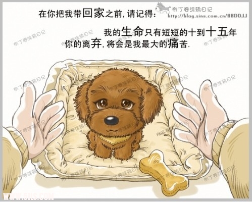 10仰1.jpg