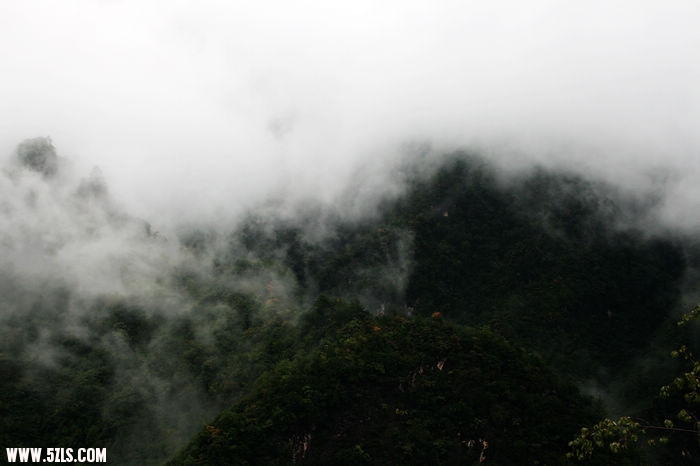 风景
