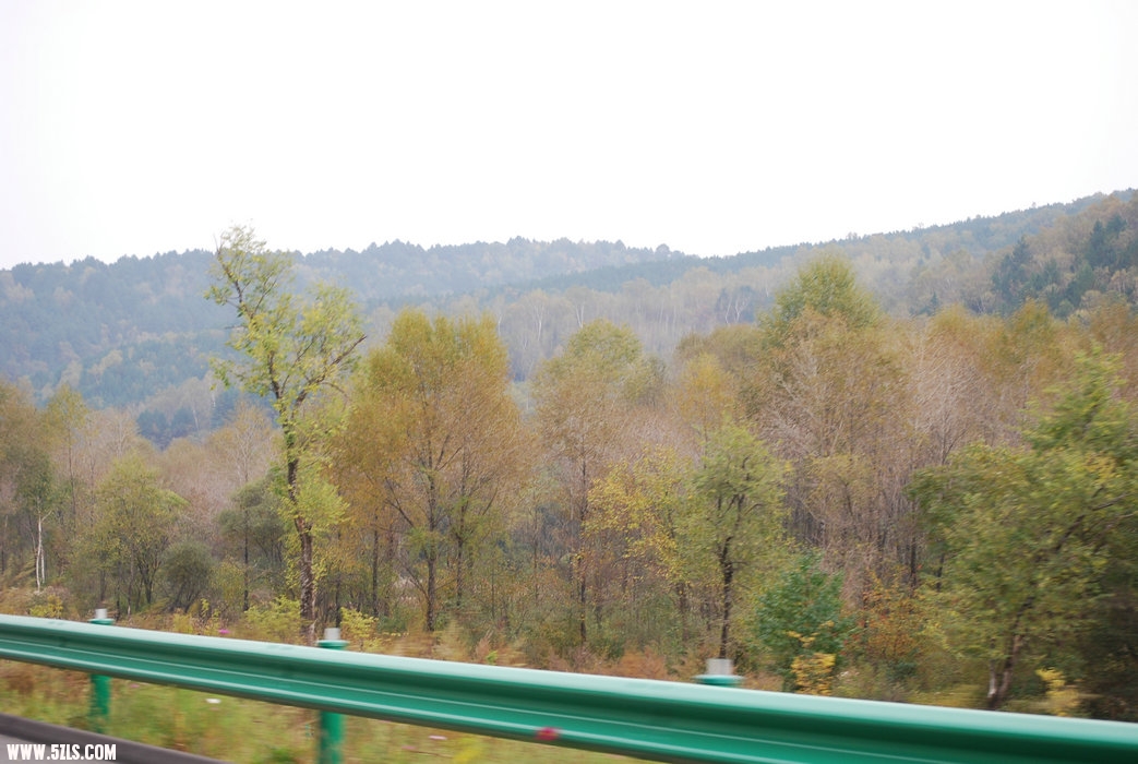 DSC_0013.JPG