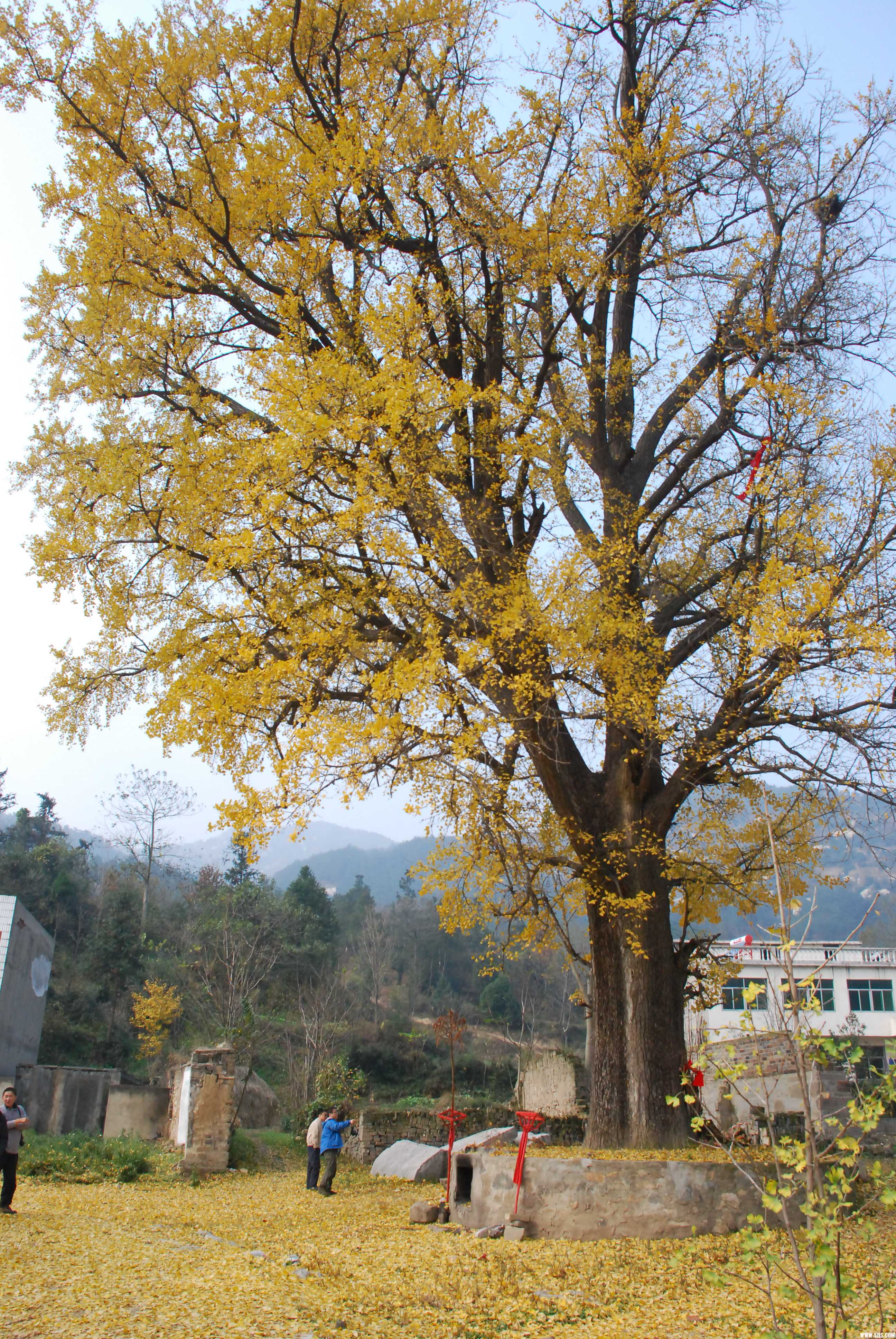 DSC_0543.JPG