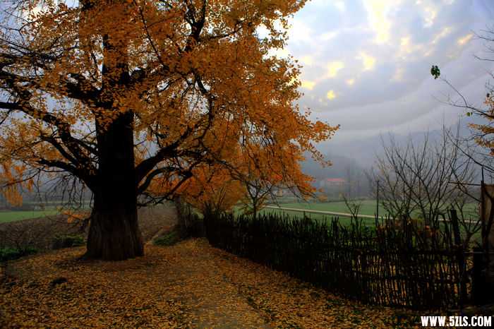 _MG_0275.jpg