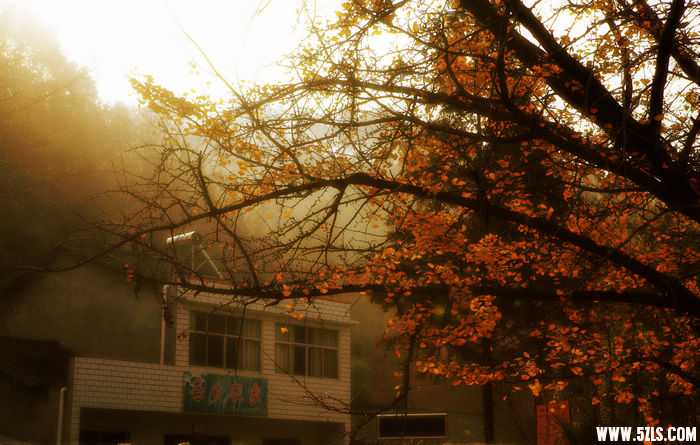 _MG_0298.jpg