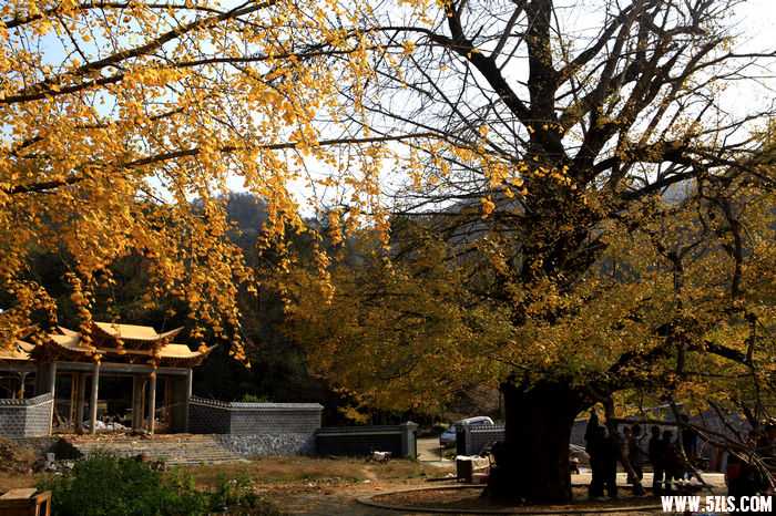 _MG_0370.jpg