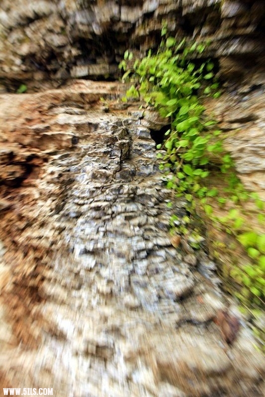_mg_0156_.jpg