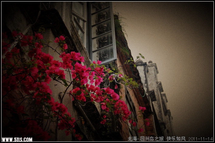 IMG_2012-2.jpg