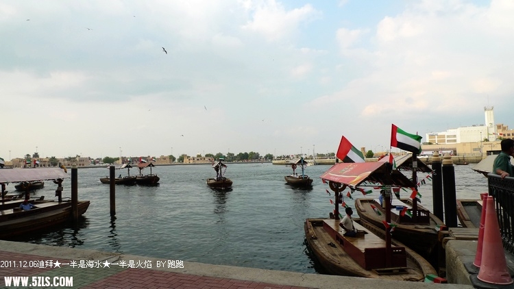 P1180633.jpg