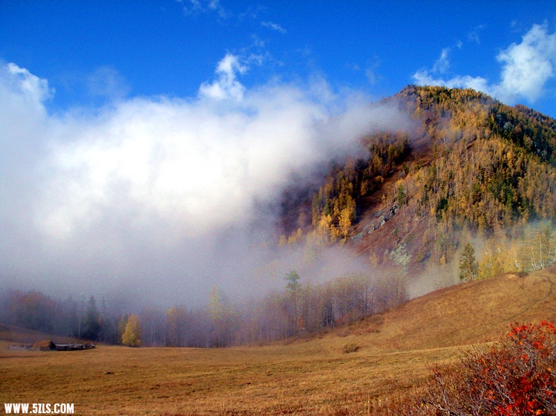 DSC09558_.jpg