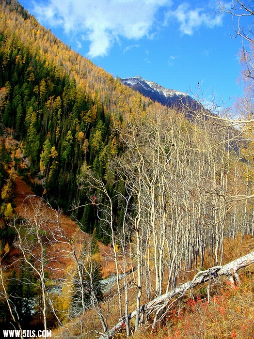 DSC09572_.jpg