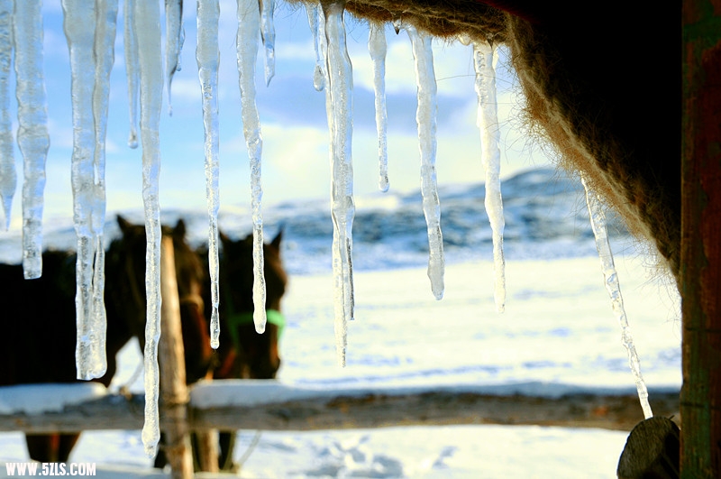 DSC_0872_.jpg