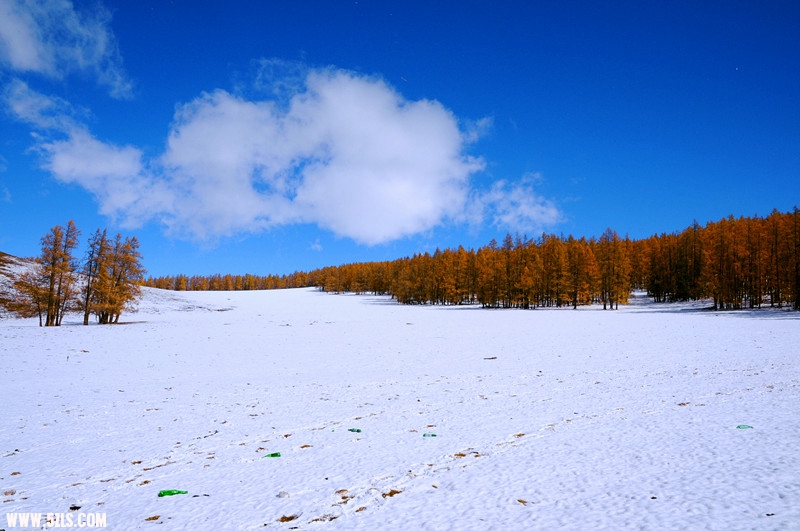 DSC_0980_.jpg