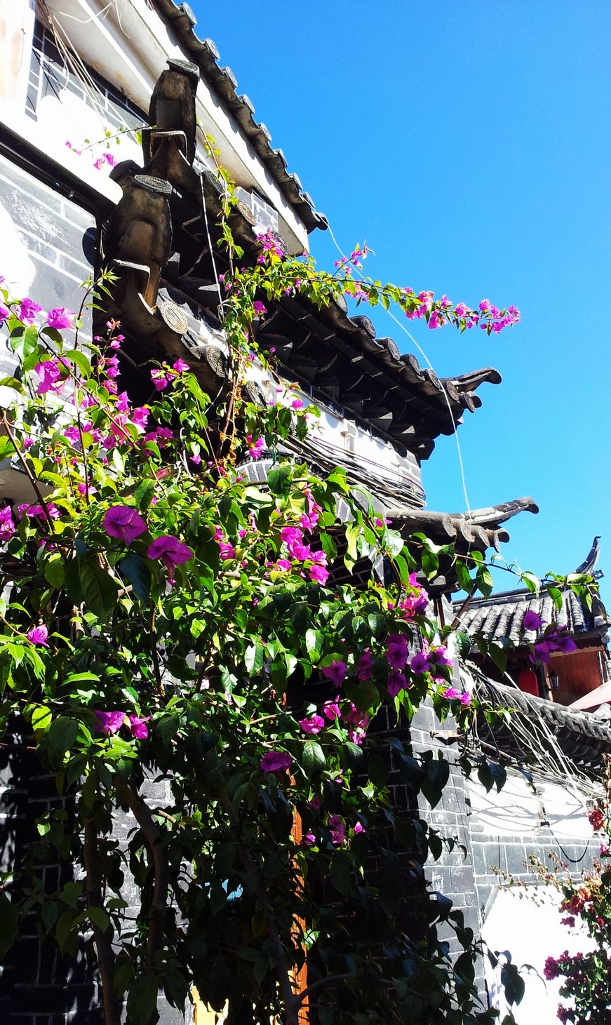20120106_143351.jpg
