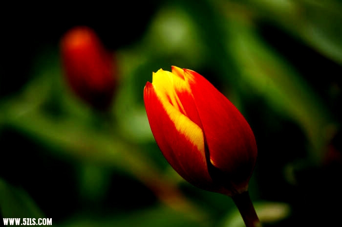 IMGP5483_.jpg