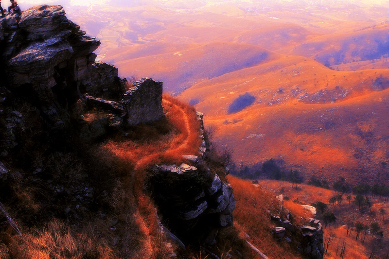 _MG_1583.jpg