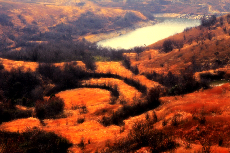 _MG_1524.jpg