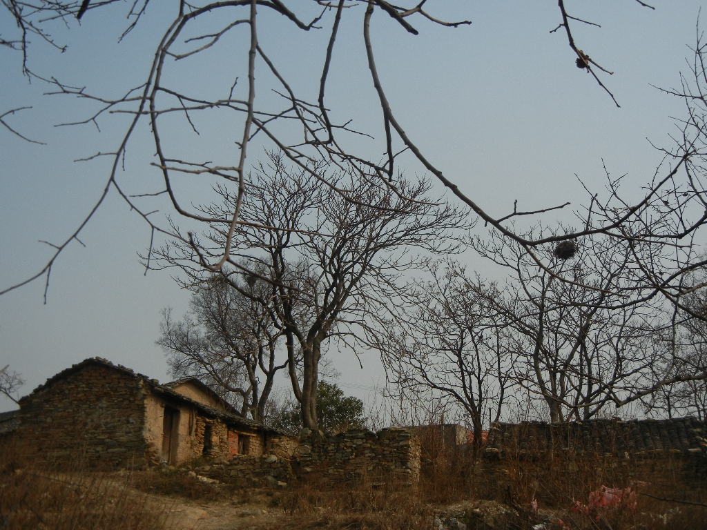 Ƭ 044.jpg