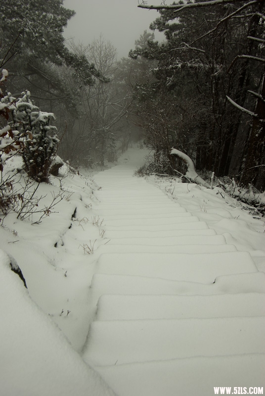 20120226-IMGP4919.jpg