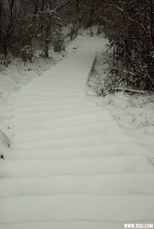 20120226-IMGP4920.jpg